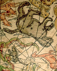 Pocket globe - close-up on bears