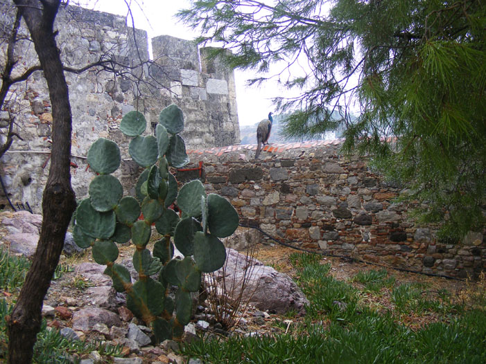 Bodrum040.jpg