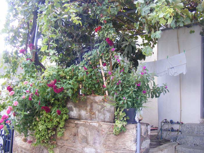 Bodrum148.jpg