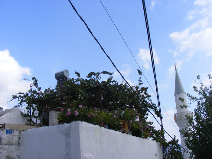 Bodrum150.jpg