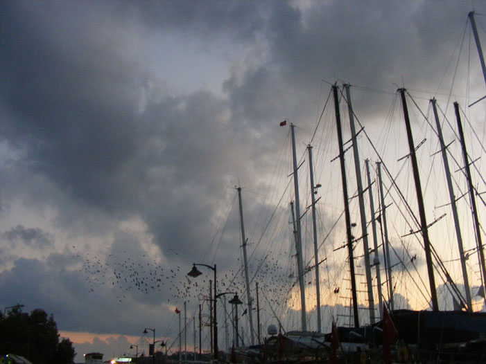 Bodrum173.jpg
