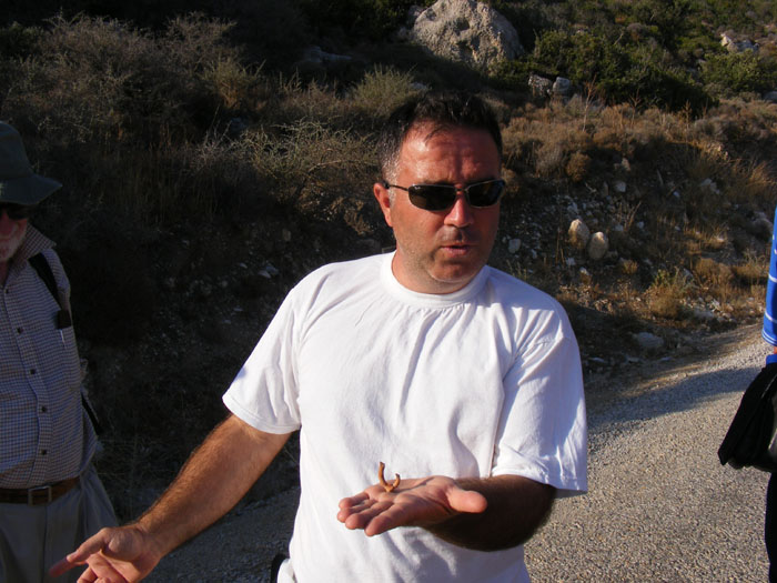 Cnidos121.jpg