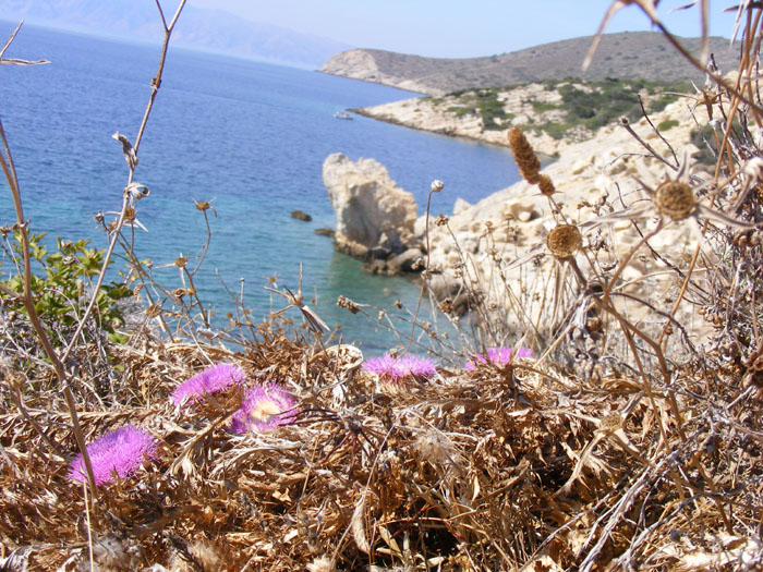 Cnidos050.jpg