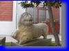 Fethiye030.jpg
