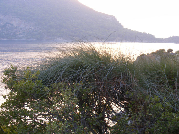 Gemiler078.jpg
