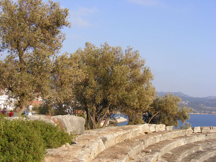 Kas024.jpg