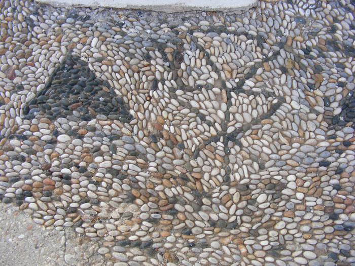 Kas049.jpg