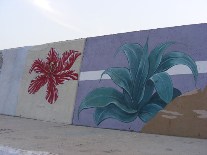 Kas061.jpg