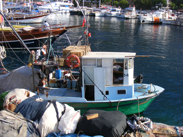 Kas088.jpg