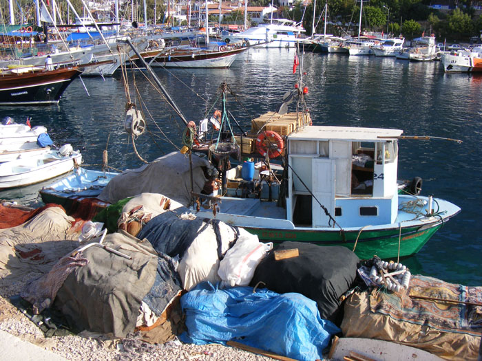Kas091.jpg