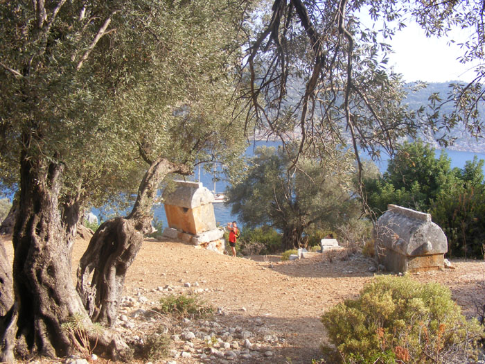 Myra026.jpg