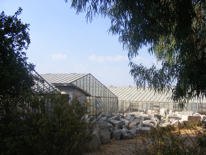 Myra036.jpg