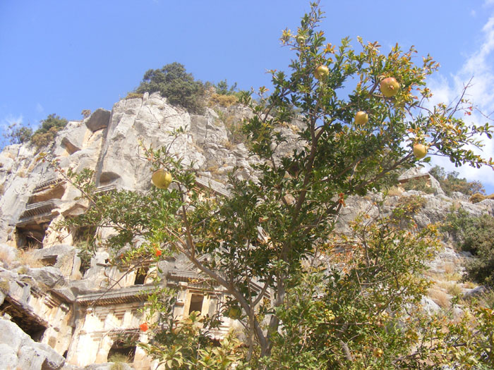 Myra045.jpg