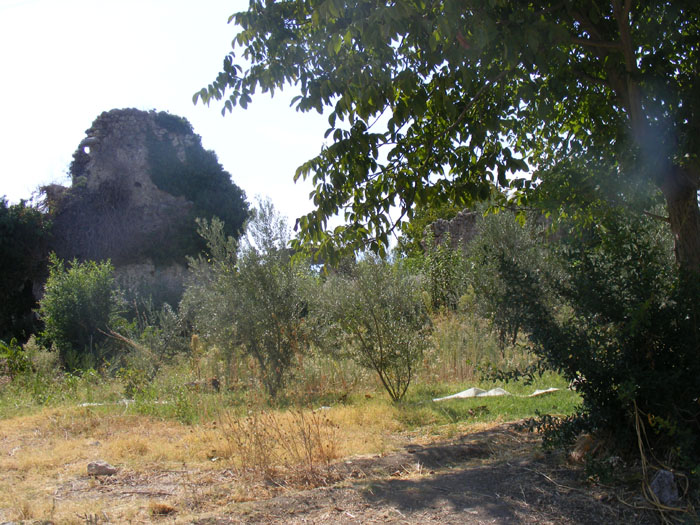 Tlos020.jpg