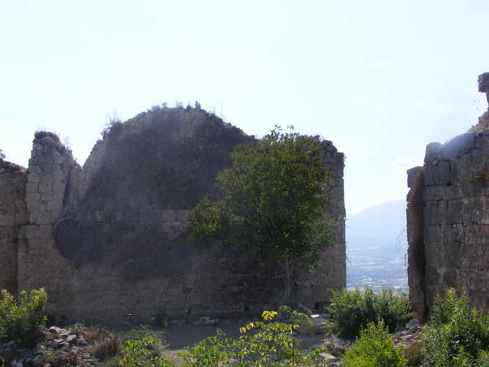 Tlos023.jpg