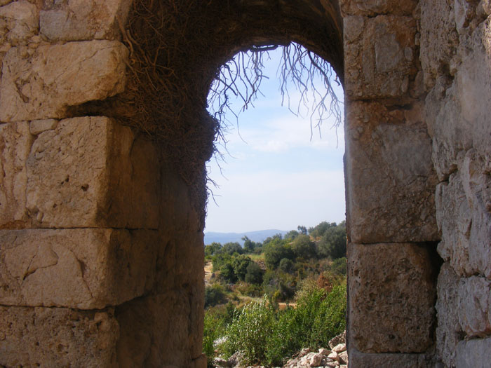 Tlos037.jpg