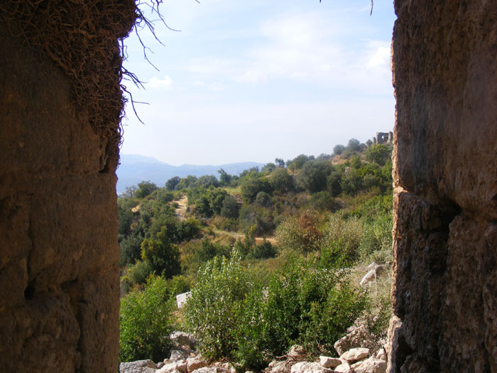 Tlos039.jpg