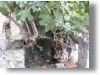 ghost_village029.jpg
