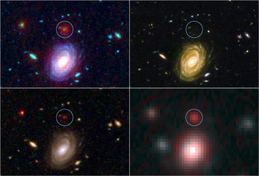 Spitzer and Hubble Space Telescopes image HUDF-JD2, one of the most distant galaxies ever seen. Top left, a combined visible and infrared view; top right, Hubble's visible ligh viwe; lower left, Hubble's infrared view; lower right, Spitzer's infrared view.